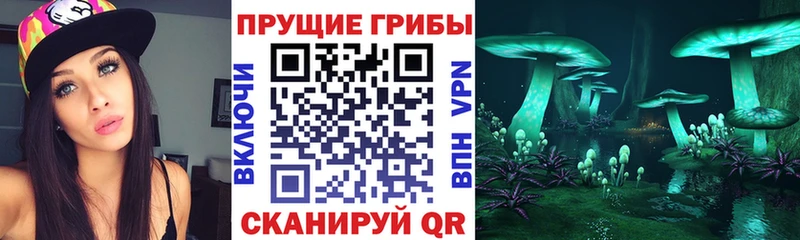 Галлюциногенные грибы Cubensis  Змеиногорск 